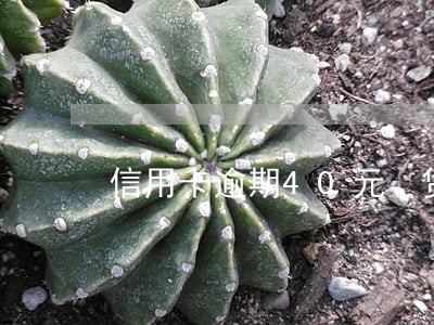 信用卡逾期40元 贷款 信用卡逾期40元 贷款